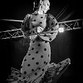flamenco (88)